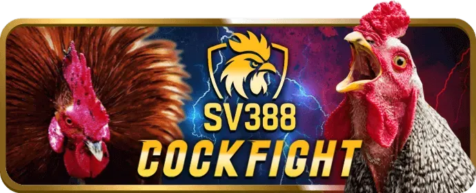 Video slot hiện đại với đồ họa 3D ấn tượng và nhiều tính năng bonus